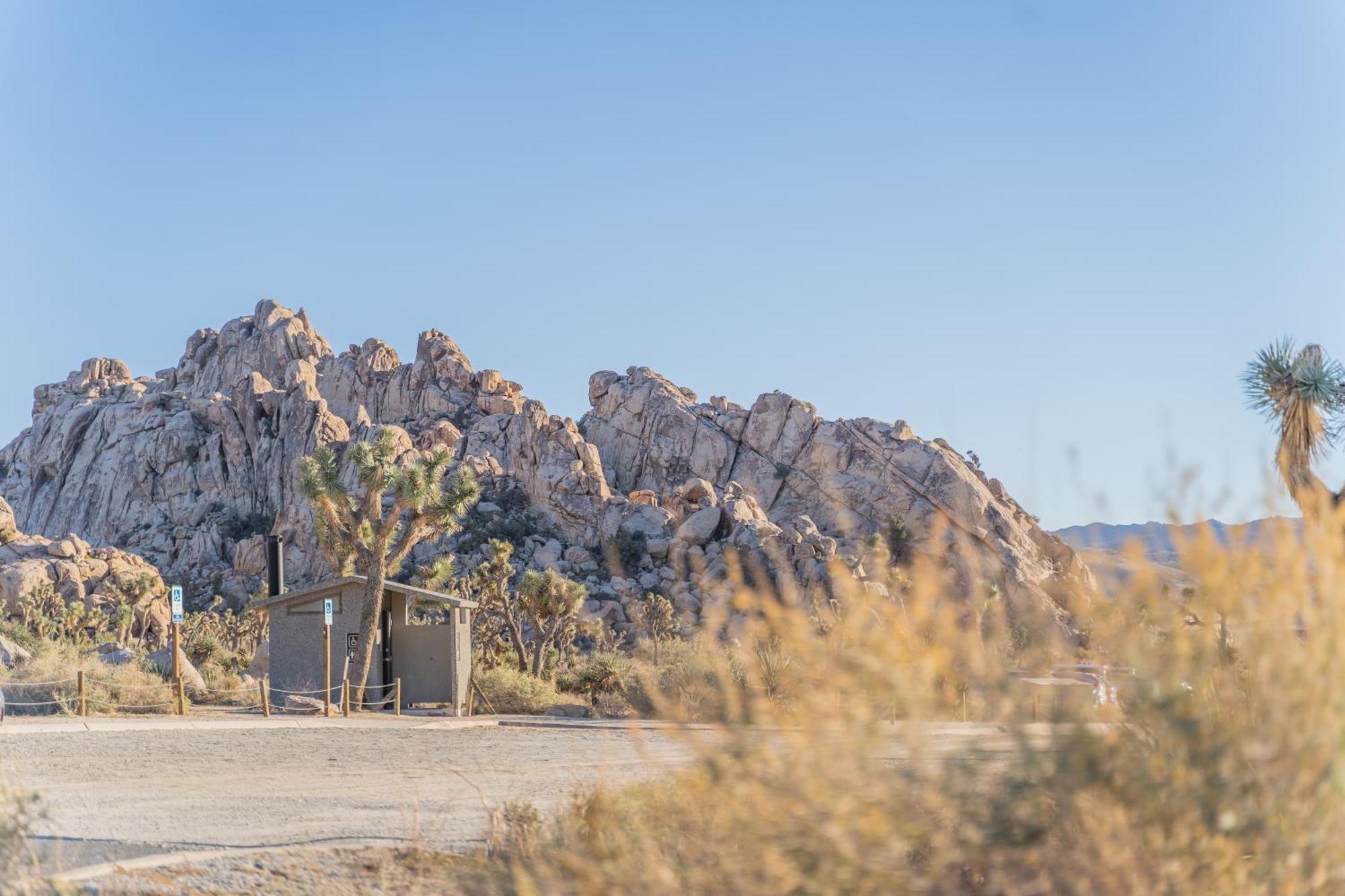 New Property! The Cactus Villas At Joshua Tree National Park - Pool, Hot Tub, Outdoor Shower, Fire Pit Twentynine Palms Bagian luar foto